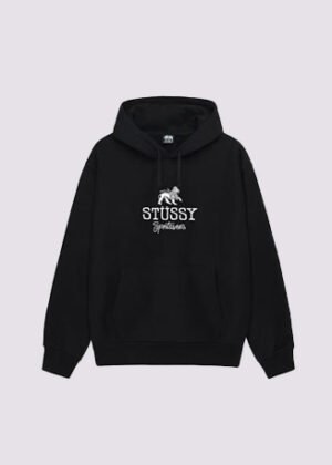 Stussy Sportswear Hoodie